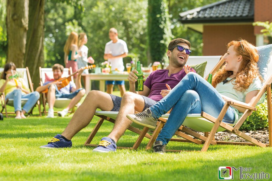 Cos'è Mister Mosquito?