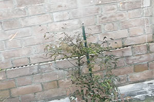 Ugelli nebulizzatori